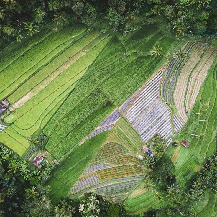 Outdoor terrace seating suitable for families in Zurich