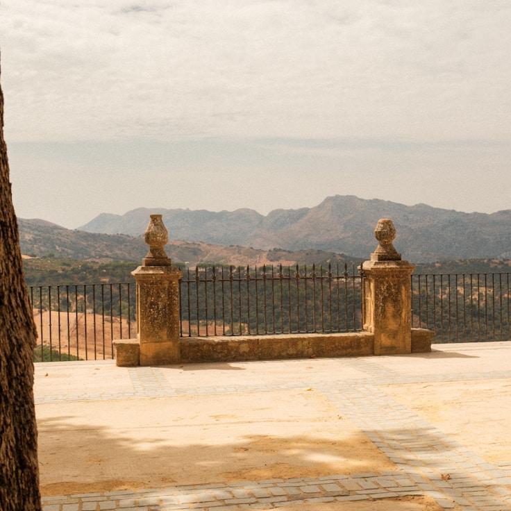 Family terraces and cafés for calm evenings in Zurich